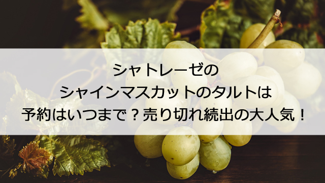 シャトレーゼのシャインマスカットのタルトは予約はいつまで 売り切れ続出の大人気 憩いの場